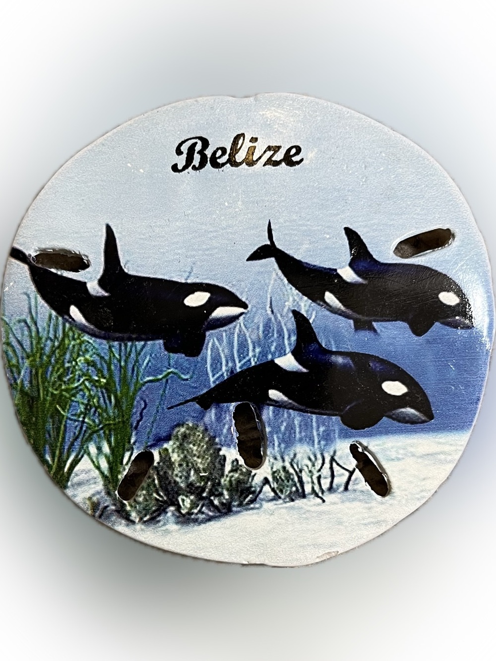 Belize Orca Magnet - Blue and Black Ocean Artwork